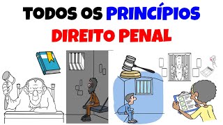 TODOS os PRINCÍPIOS de Direito Penal [upl. by Alcine213]