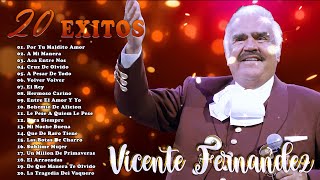 20 Vicente Fernandez Exitos Mix🦅🦅🦅 Rancheras Y Corridos Mexicanas [upl. by Florencia941]