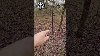 The Kill Spot huntingseason huntingequipment huntinggear whitetails [upl. by Abrahamsen]