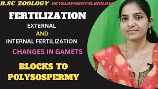 Fertilization BSc 3rd yr developmental biology external internal fertilization Blocks To Polyspermy [upl. by Lleze501]