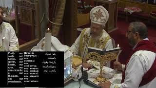 Live St Macarius Coptic Orthodox Church Melbourne [upl. by Ambros686]