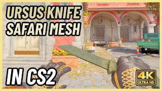 ★ CS2 Ursus Knife Safari Mesh  CS2 Knife InGame Showcase 4K [upl. by Kind]