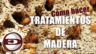 COMO HACER UN TRATAMIENTO DE MADERA CONTRA TERMITAS [upl. by Luise617]