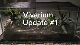 Vivarium Update 1 Animal integration [upl. by Akinej]