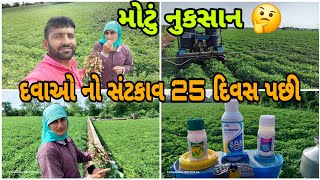 BAYER 👌ACERBO  BAYER EGNITUS  Lockdown આ ત્રણ એ દવાનું પરિણા કેવું આવે જોઈએ [upl. by Yremogtnom563]