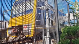 T101  T102 departing Rooty Hill with V47 at speed [upl. by Anglim851]