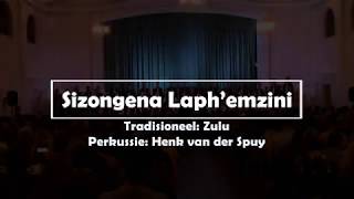 Sizongena Laphemzini 2019 [upl. by Aietal]