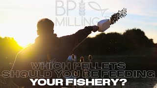 Bulk feed pellets What should you be feeding your fishery [upl. by Naujtna]