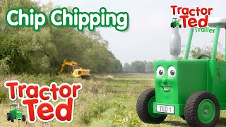 Chip Chipping 🌳  New Tractor Ted Trailer  Tractor Ted Official Channel [upl. by Nannek]