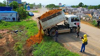 Staring project Billdozer Kumatsu D31p pushing soil Pour dry soil into flooded soil ampTruck 5Ton [upl. by Ellekcir834]