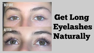 How To Get Long Eyelashes Naturally  Grow Longer Eyelashes [upl. by Anahsit]