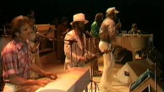 Beach Boys Live at Knebworth 1980  Fun Fun Fun [upl. by Dorcus]