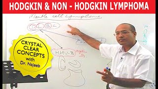 Hodgkins vs Non Hodgkins Lymphoma  Pathology🩺 [upl. by Jess938]