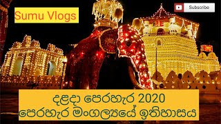 The Kandy Esala Perahera 2020 History of perahera The grand randoli peraherathekndyesalaperahera [upl. by Ehsrop]