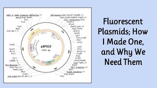 Editing A Plasmid  Synthetic Biology [upl. by Aennyl857]