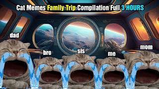 Cat Memes Family Trip Compilation Full 3 HOURS [upl. by Emerick]