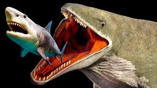 Mariana Trench Creatures That Are Scarier Than Megalodon [upl. by Bedad914]