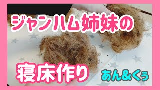 【ハムスター】ケナフで寝床作り☆かわいい姉妹の巣作り公開④hamster [upl. by Butterworth]