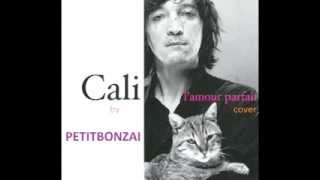 PetitBonzai  Lamour parfait Cali cover [upl. by Lynnea]