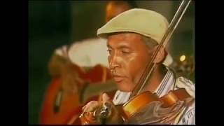 the best violinist on Cape Verde [upl. by Fotzsyzrk229]