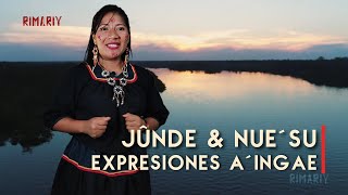 Jûnde ¡APÚRATE RÁPIDO  Nuesû  ¡QUÉ PEREZOSO ¡QUÉ VAGO  RIMARIY Expresiones Aingae [upl. by Ahsead]