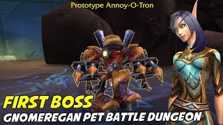 Prototype AnnoyoTron  Gnomeregan Pet Battle Dungeon [upl. by Volnak61]