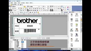 如何使用 Brother Ptouch Editor 連接資料庫製作資產標籤 [upl. by Annalla173]