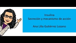 Insulina secreción y mecanismo de acción [upl. by Joletta274]