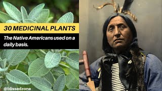 30 Medicinal Plants The Native Americans Used On a Daily Basis  Blissed Zone [upl. by Pronty]