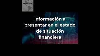 Presentación de Estados de Situación Financiera NIIF para Pymes [upl. by Nymrak711]