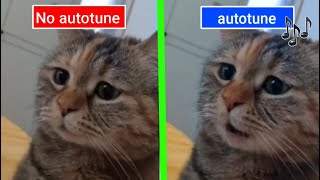 Sad Cat Meowing Original vs Autotune edit [upl. by Atilrahc]