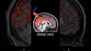 Your Brain Washes itself when you SLEEP neuroscience [upl. by Percy871]