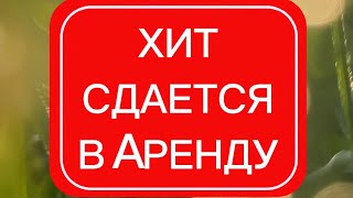 Suno  Все бабы как бабы а Я богиня  женская версия хита Семёна Фролова  Сдаётся в аренду [upl. by Etteoj]