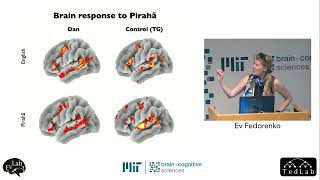 From Fieldwork to Linguistic Theory A Tribute to Dan Everett Session 2 [upl. by Valenba]