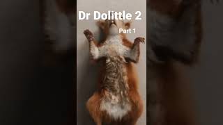 Dr dolittle 2 Movie Kids Movies [upl. by Jeanie]