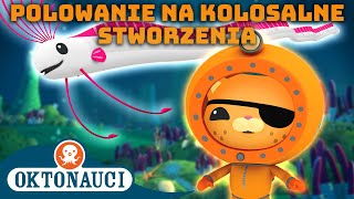 Oktonauci  🦑 Polowanie na kolosalne stworzenia 🔍  Kompilacja  Całe odcinki [upl. by Lyrem933]