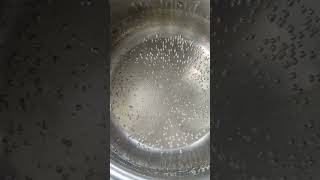 WHAT IS THE BOILING POINT OF WATER [upl. by Elram]