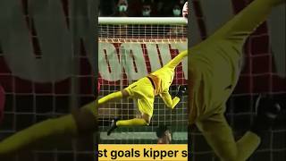 best goals keeper saves viralvideo goals football trending cristianoronaldo nbaronaldo [upl. by Aidam976]