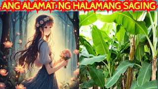 ALAMAT NG SAGING  ang storya ng halamang saging dahonandpets alamatngsaging [upl. by Sayce749]