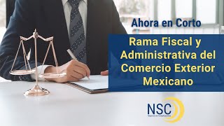 Legislación del Comercio Exterior  Ramas Fiscal y Administrativa Shorts 0028 [upl. by Catha958]