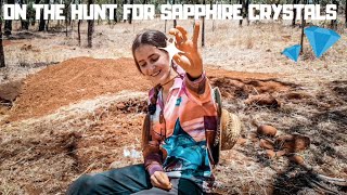 Fossicking for Sapphires  Lava Plains Far North Queensland AUS  First time finding sapphires [upl. by Warring]