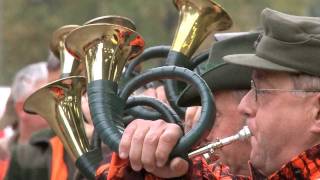 Shooting driven mouflon in Germany [upl. by Johannessen709]