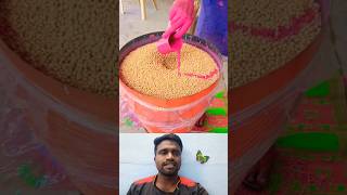 🤔விதை நேர்த்தி மெஷின்⁉️  Seed Treatment Machine 💯 trending seedtreatment statisfying yt shorts [upl. by Gautious]