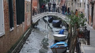 Venedig trocknet aus Video [upl. by Guss718]