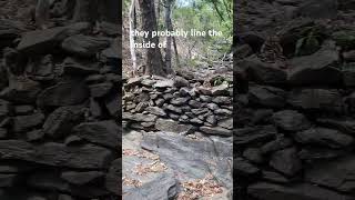 Goldfields history on Palmerville station Amazing dam wall built by the old timers [upl. by Latihs376]