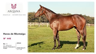 Arqana October Yearling Sale 2024  N° 446 F  Ardad présenté par le Haras De Montaigu [upl. by Roobbie]