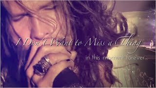 Aerosmith  I Dont Want to Miss a Thing  Live Mix   in this moment forever [upl. by Charpentier]