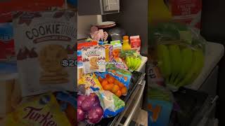 200 grocery haul  We hit up aldis for food and Walmart for a few essentials groceryhaul foodhaul [upl. by Minnie]