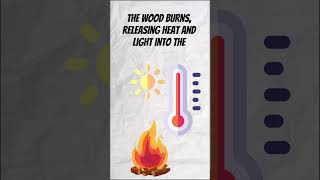 Exothermic and Endothermic Reactions chemistry learning science [upl. by Lindberg]