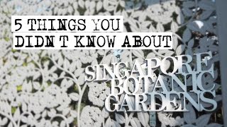 Singapore Botanic Gardens 5 Things You Didnt Know  CNA Insider [upl. by Illil]